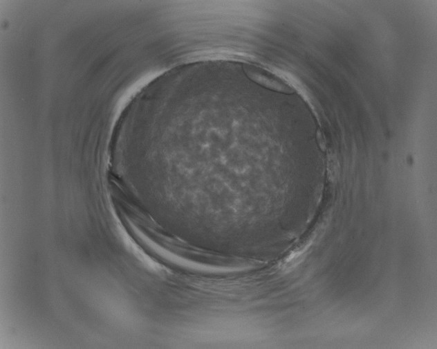 X0000070410995200606231823