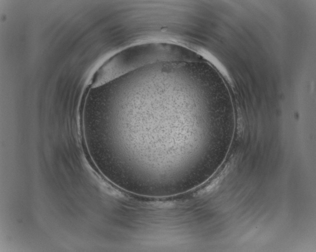 X0000070410996200606231823