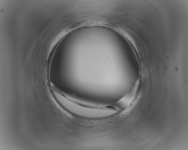 X0000070410997200606231823