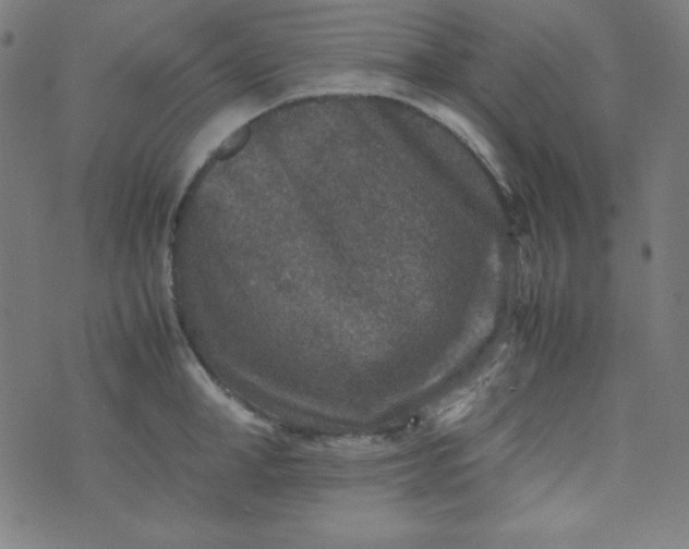 X0000070410998200606231823