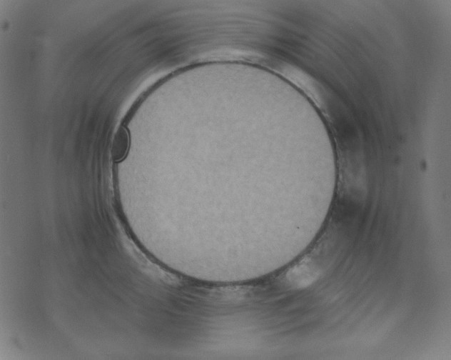 X0000070411000200606231823