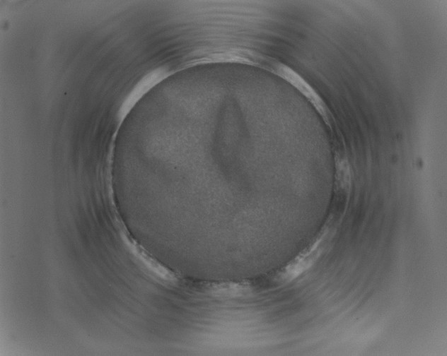 X0000070411002200606231823