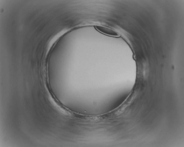 X0000070411003200606231823