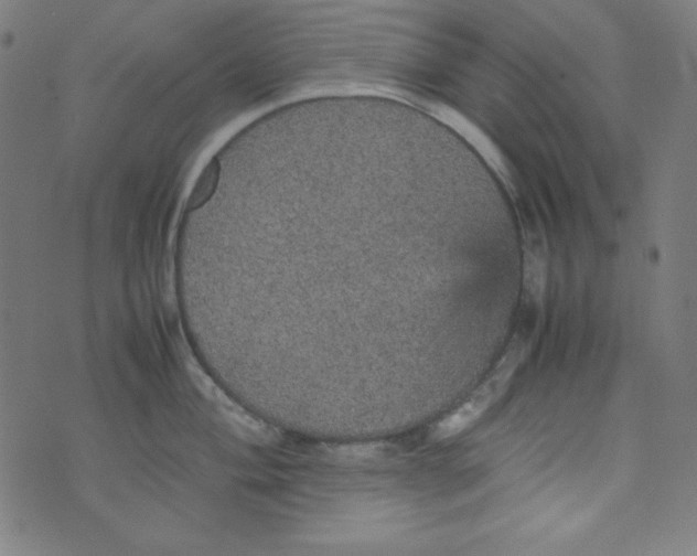 X0000070411004200606231823