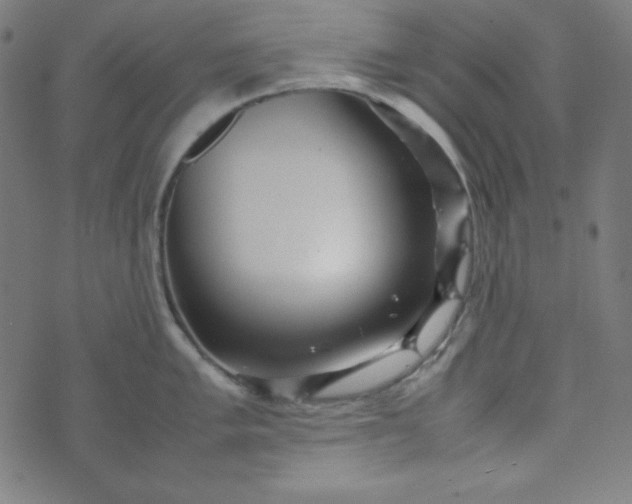 X0000070411005200606231823