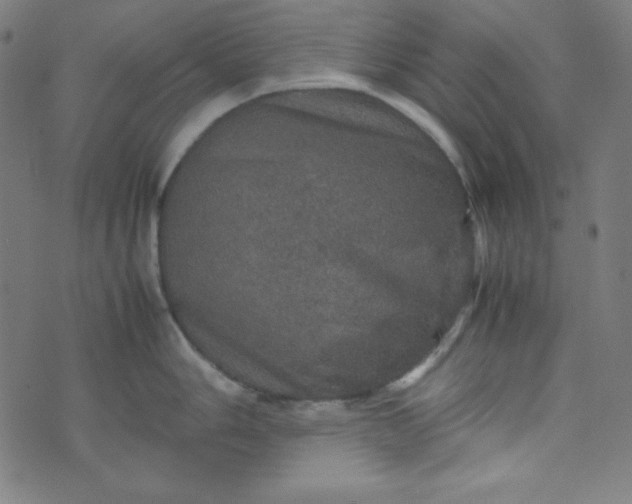 X0000070411006200606231823