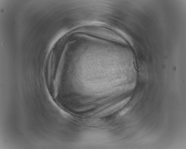 X0000070411007200606231823