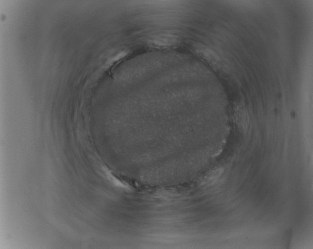 X0000070411009200606231822