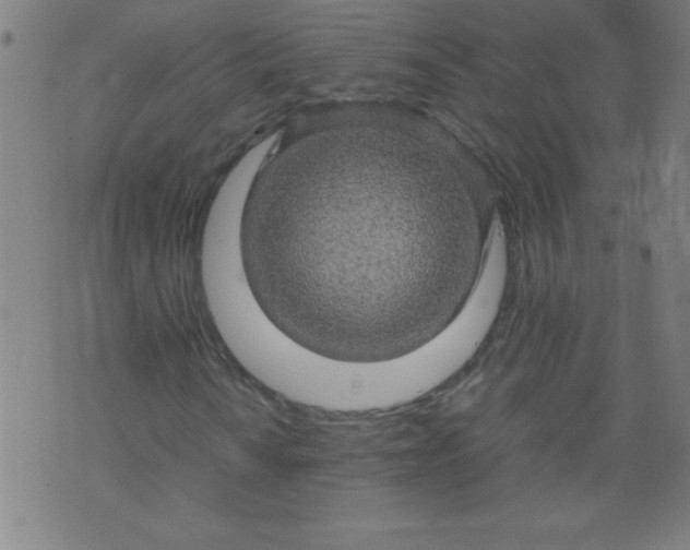 X0000070411010200606231822