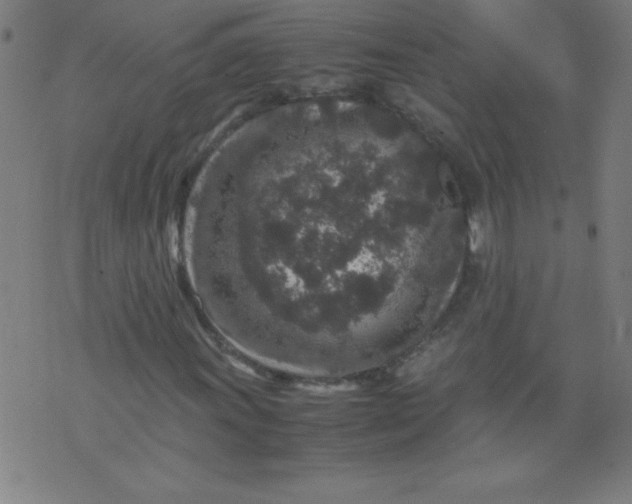 X0000070411011200606231822