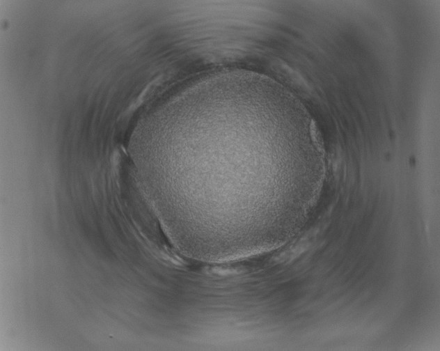 X0000070411012200606231822