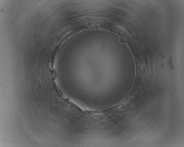 X0000070411013200606231823