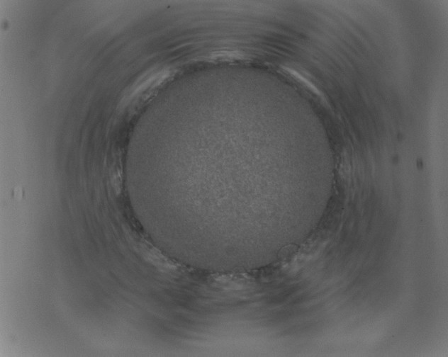 X0000070411015200606231823