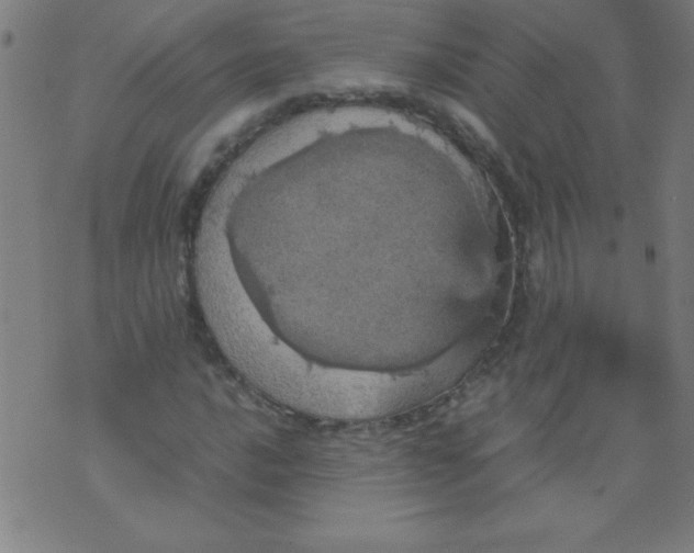 X0000070411016200606231823