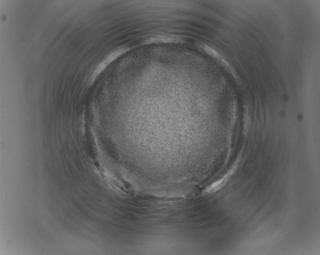 X0000070411017200606231823