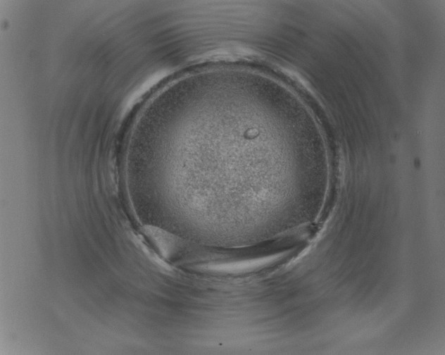 X0000070411018200606231823