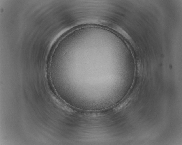 X0000070411020200606231823