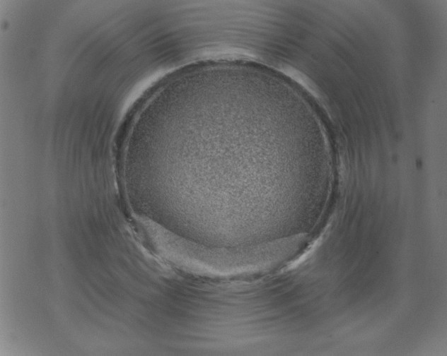 X0000070411022200606231823