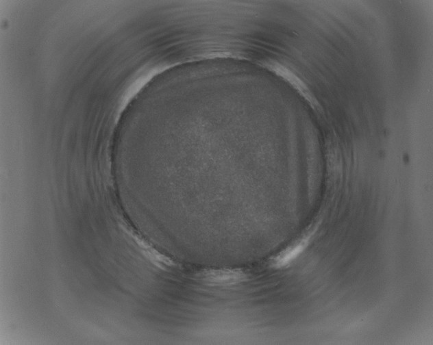 X0000070411023200606231823