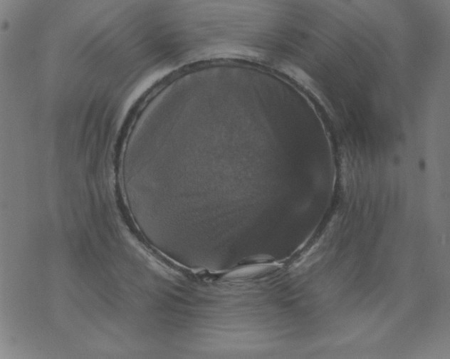 X0000070411024200606231823