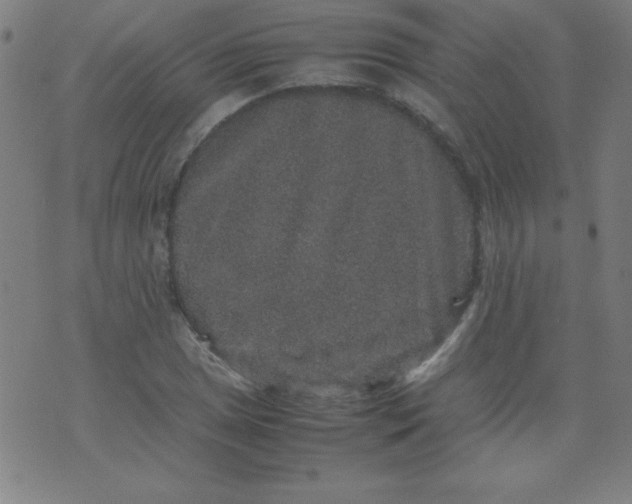 X0000070411025200606231823