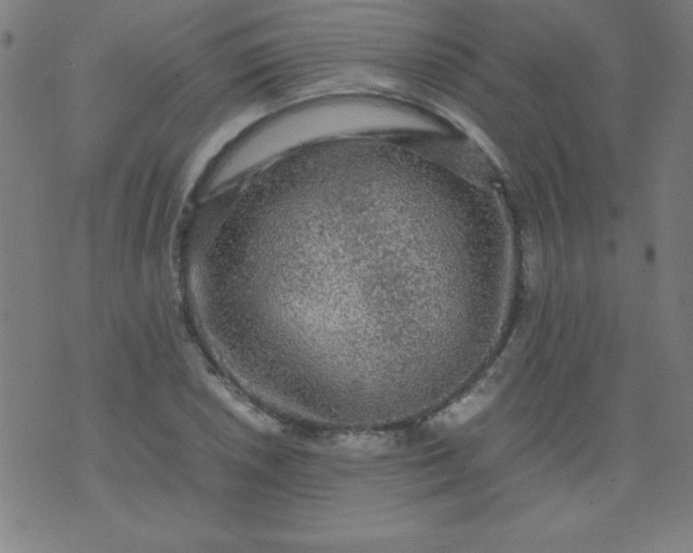 X0000070411026200606231823