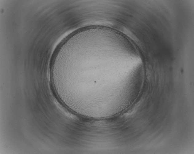 X0000070411028200606231823