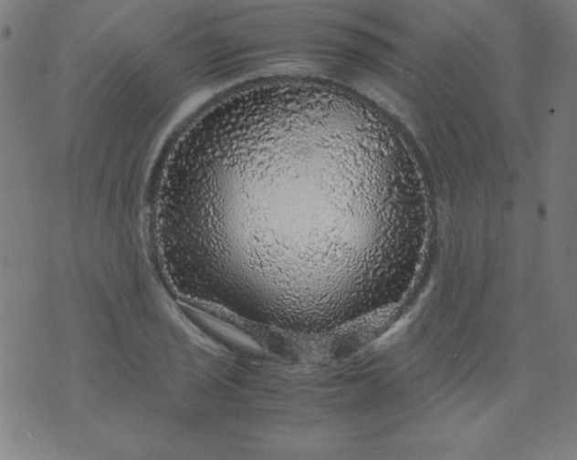 X0000070411029200606231823