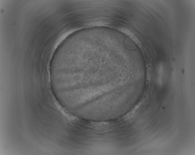 X0000070411031200606231823