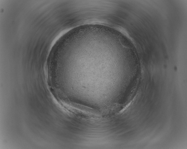 X0000070411032200606231823