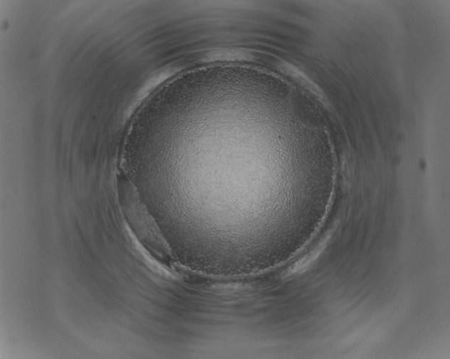 X0000070411033200606231823