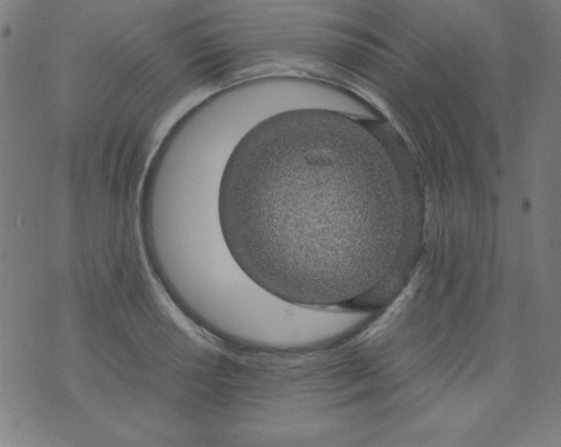 X0000070411034200606231823