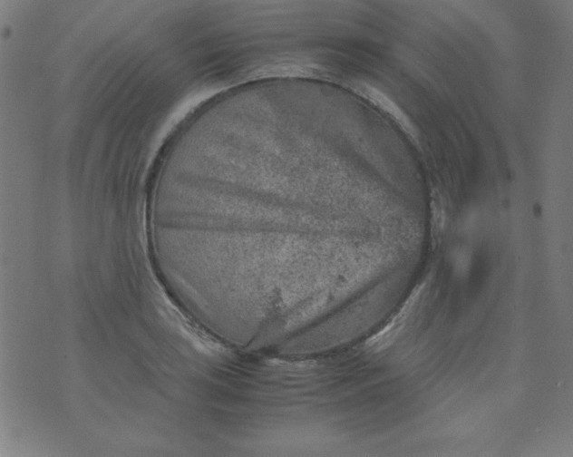 X0000070411035200606231823