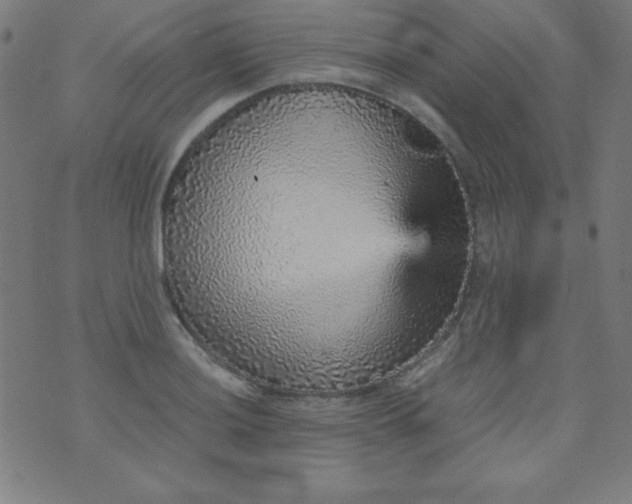 X0000070411036200606231823