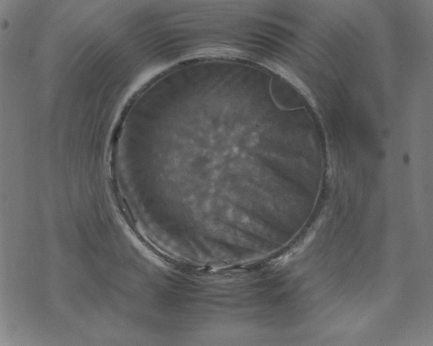 X0000070411037200606231823