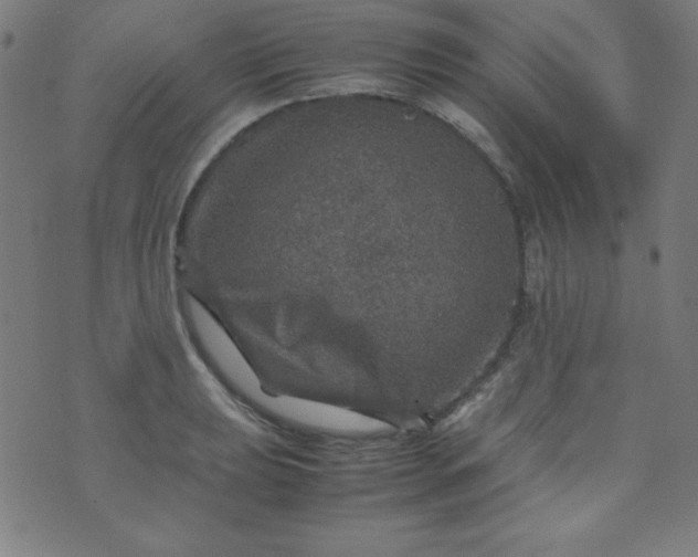 X0000070411039200606231823