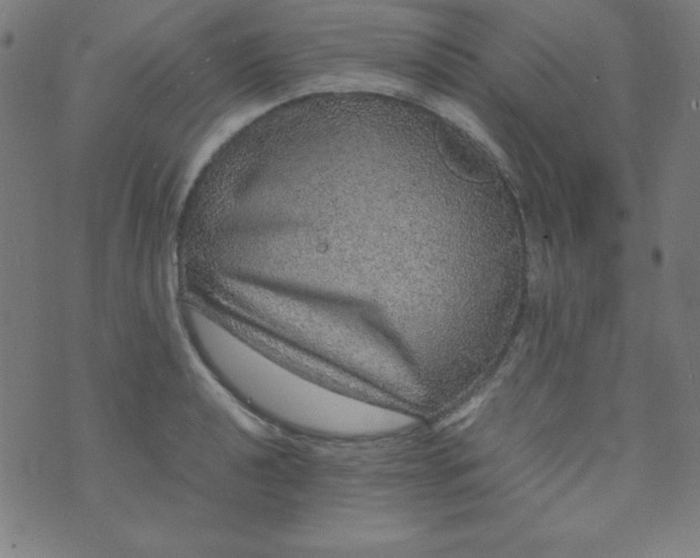 X0000070411040200606231823