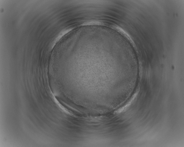 X0000070411041200606231823