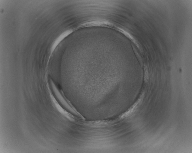 X0000070411042200606231823