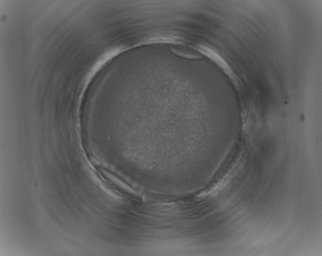 X0000070411043200606231823