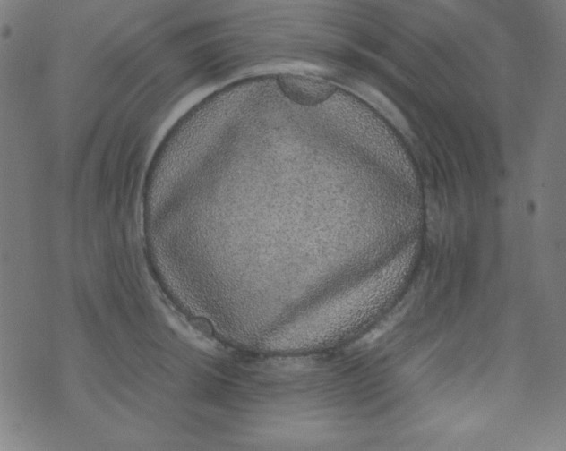 X0000070411044200606231823