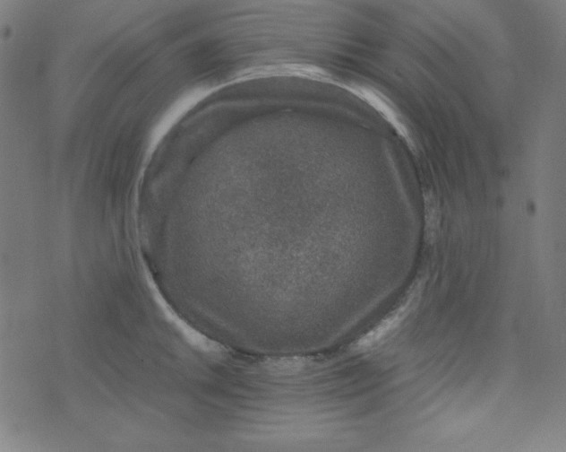 X0000070411046200606231823