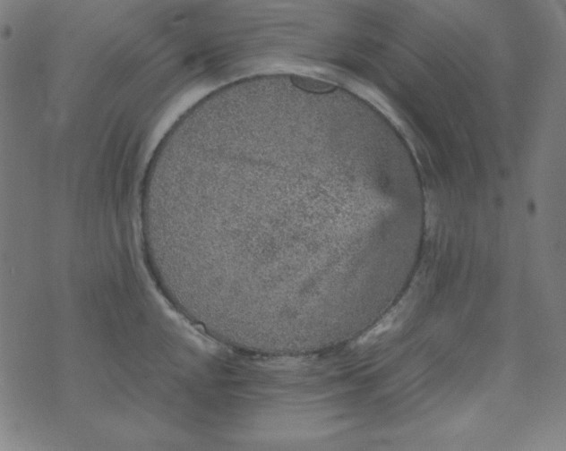 X0000070411048200606231823