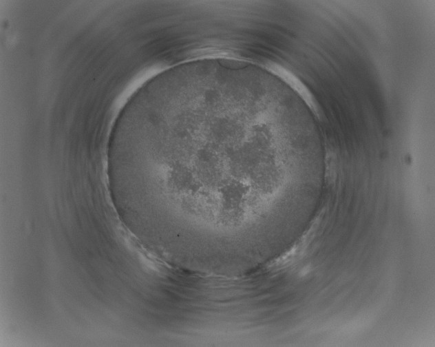 X0000070411051200606231823