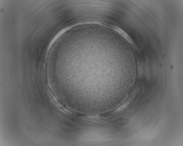 X0000070411052200606231823