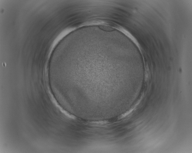 X0000070411053200606231823