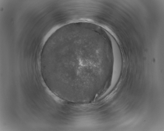 X0000070411054200606231823