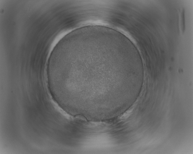 X0000070411056200606231823