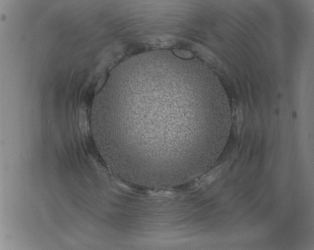 X0000070411058200606231822