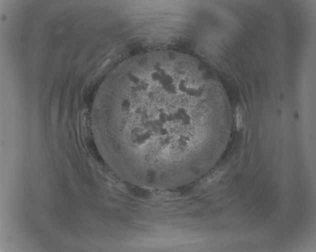 X0000070411059200606231822